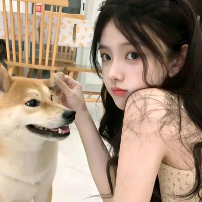 女王鲨 在线观看