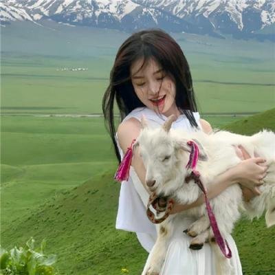 杜巴先生 在线观看